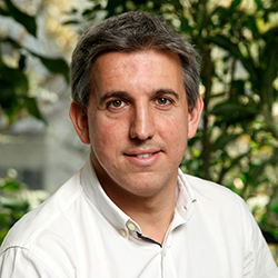 Luis Catalán